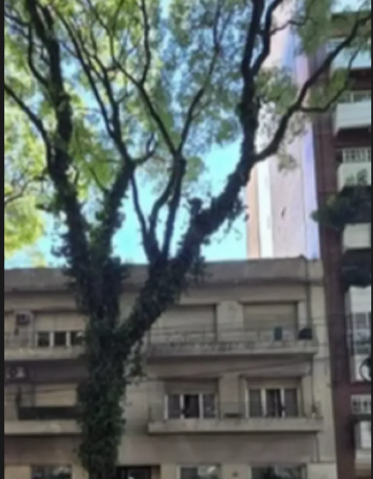 En venta Depto de 3 amb a la calle en Caballito